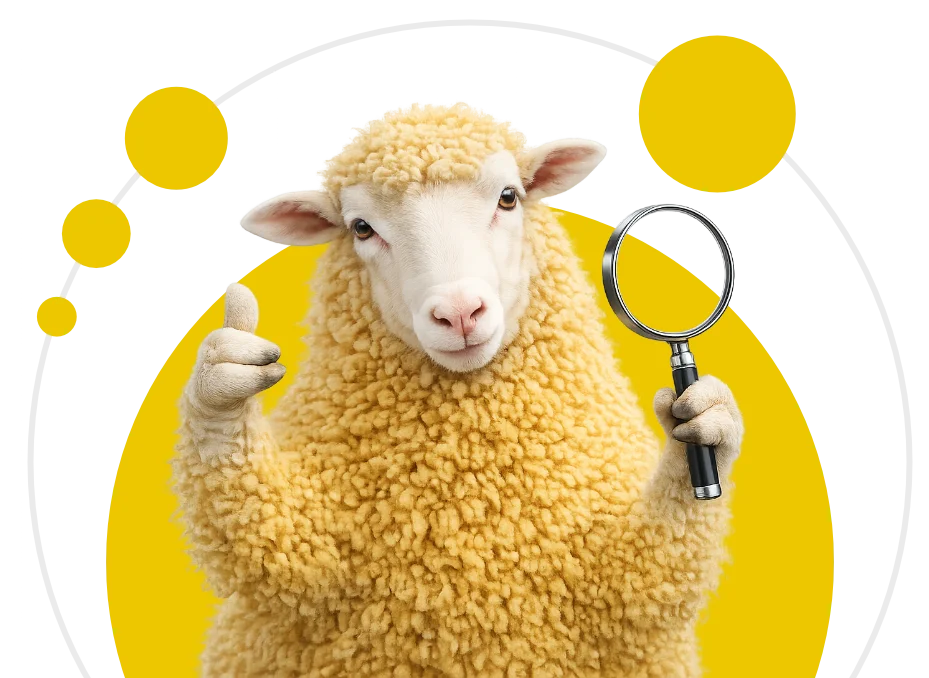 WoolMilk SEO FAQ
